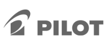 pilot